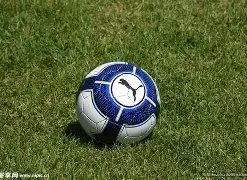 揭秘河南足,球队新年备,日昆明集结,8波足球比分网,体育官网,平台入口,足球比分,即时比分,比分直播